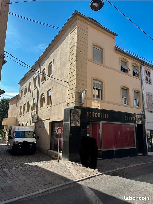 Appartement à vendre, 460m², Bitche