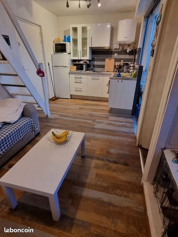 Appartement à louer, 50m², Albitreccia