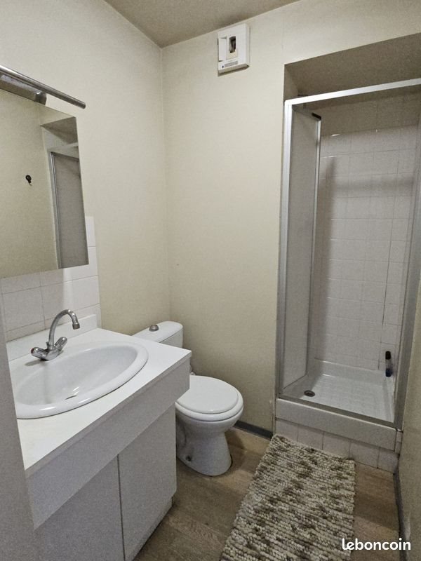 Appartement à vendre, 17m², Grenoble
