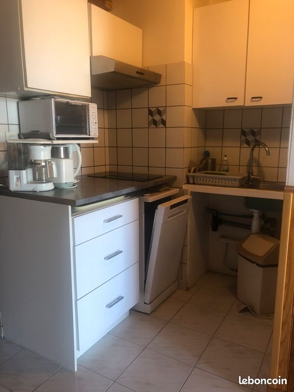 Appartement à louer, 39m², Saint-Cyprien