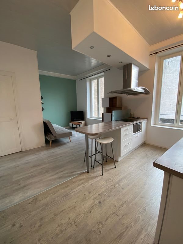 Appartement à louer, 38m², Nancy