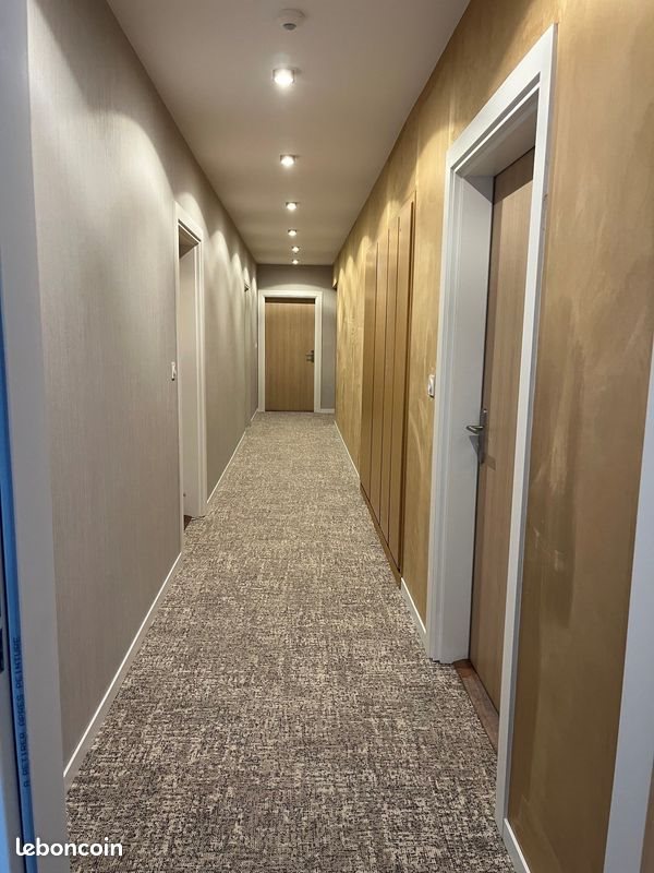 Appartement à louer, 49m², Fontaines-sur-Saône
