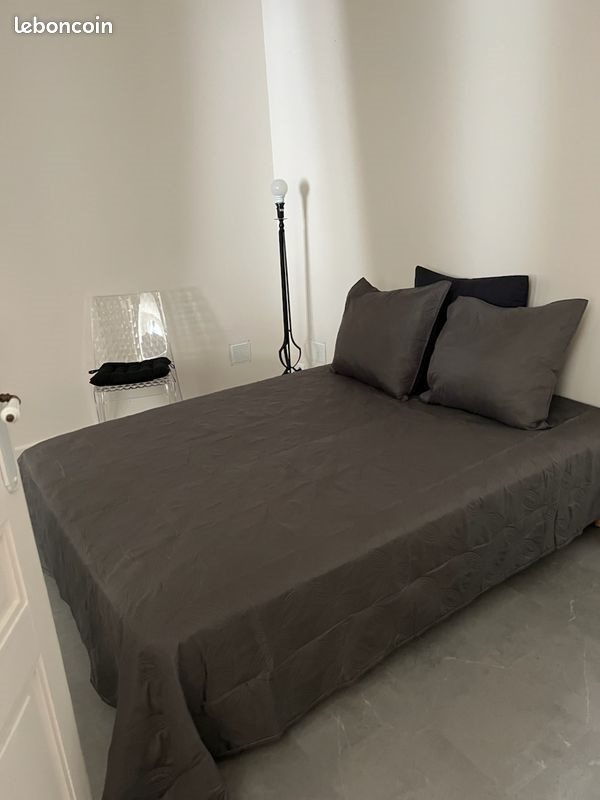 Appartement à louer, 40m², Saint-Etienne
