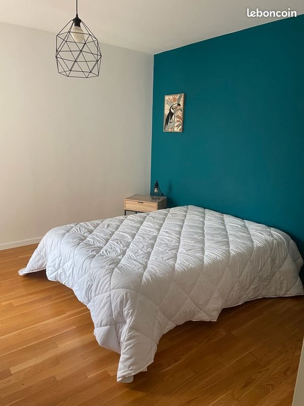 Appartement à louer, 47m², Oullins