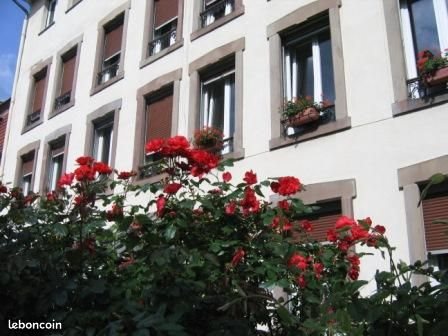 Appartement à louer, 50m², Strasbourg