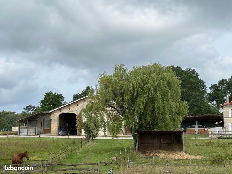 Maison à vendre, 350m², Marcenais