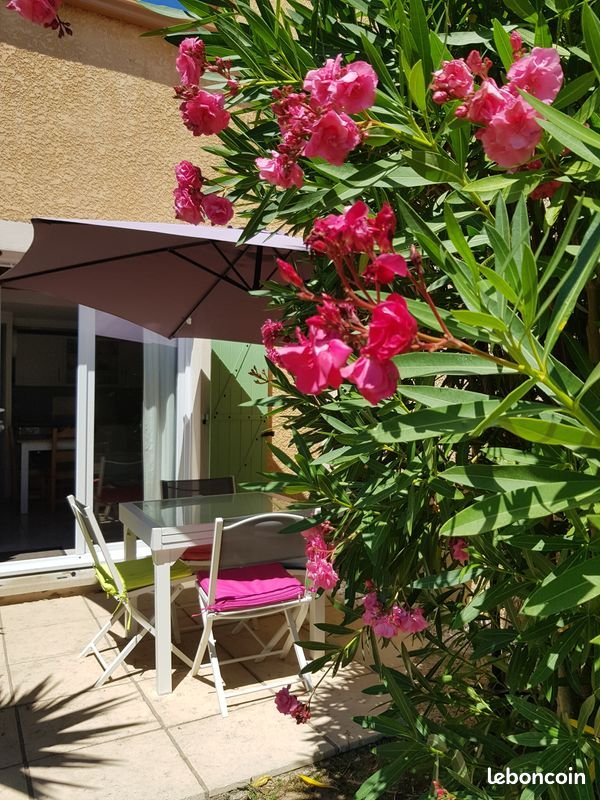 Maison à louer, 30m², Béziers