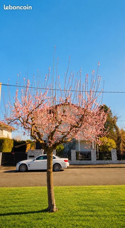 Maison à vendre, 180m², Saint-Gaudens