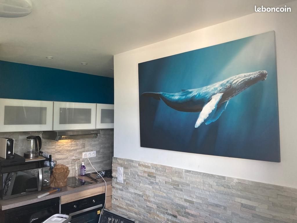 Appartement à louer, 17m², Montpellier