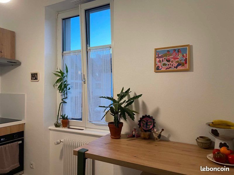 Appartement à louer, 40m², Strasbourg