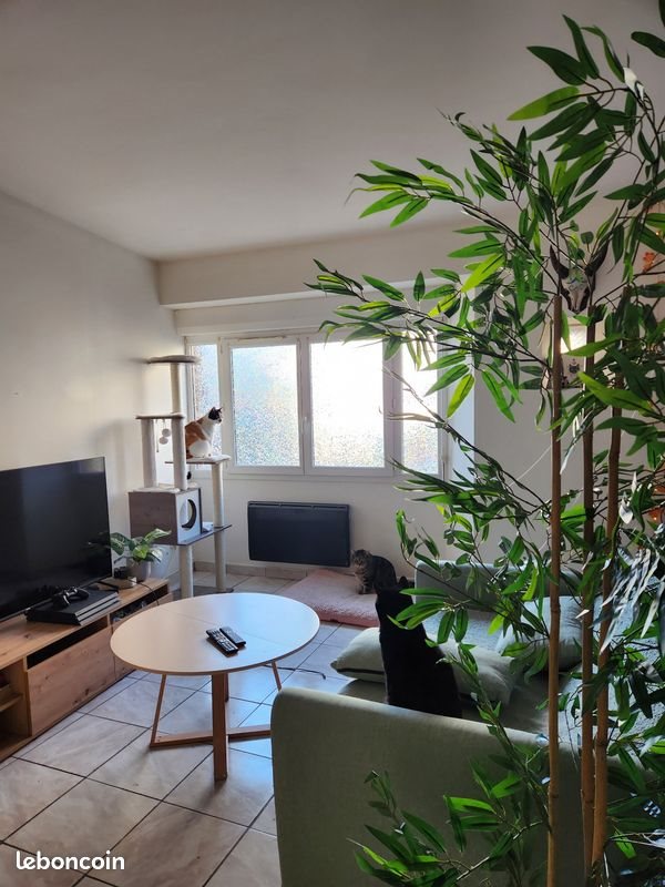 Appartement à louer, 54m², Saint-Céré