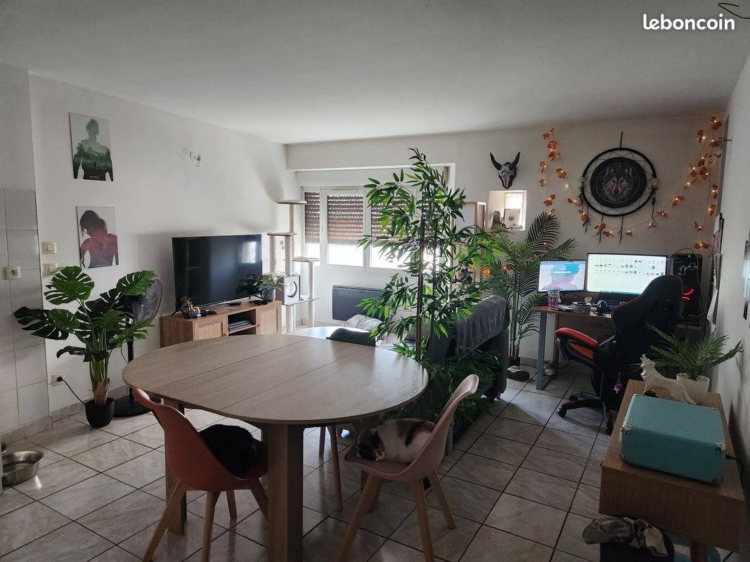 Appartement à louer, 54m², Saint-Céré