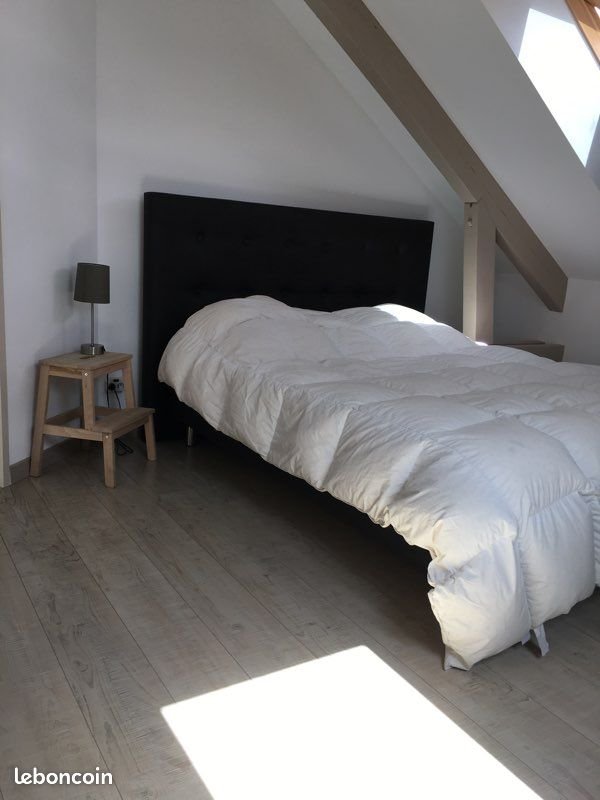 Appartement à louer, 45m², Angers