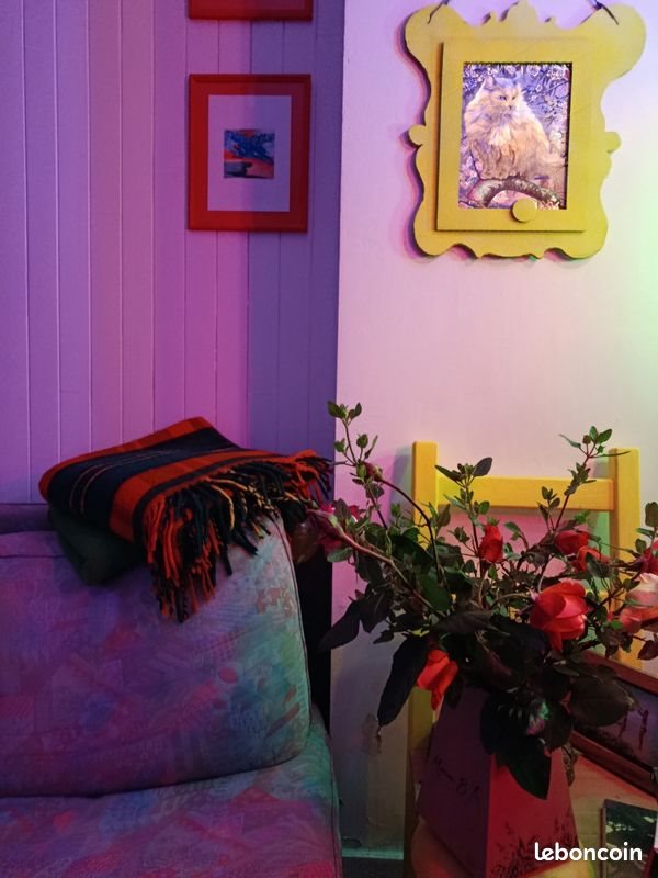 Appartement à louer, 50m², Lorient