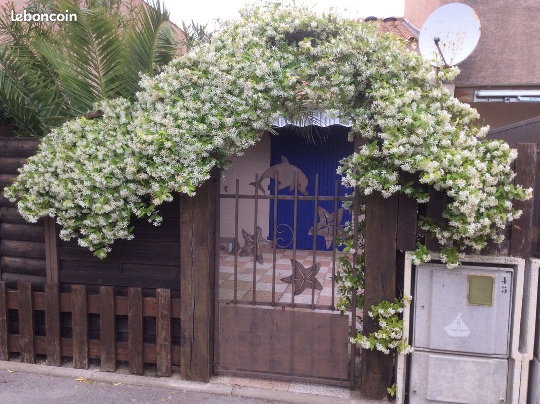 Maison à vendre, 25m², Gruissan