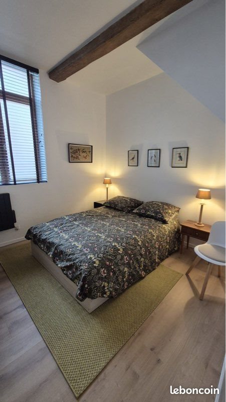 Appartement à louer, 60m², Lille