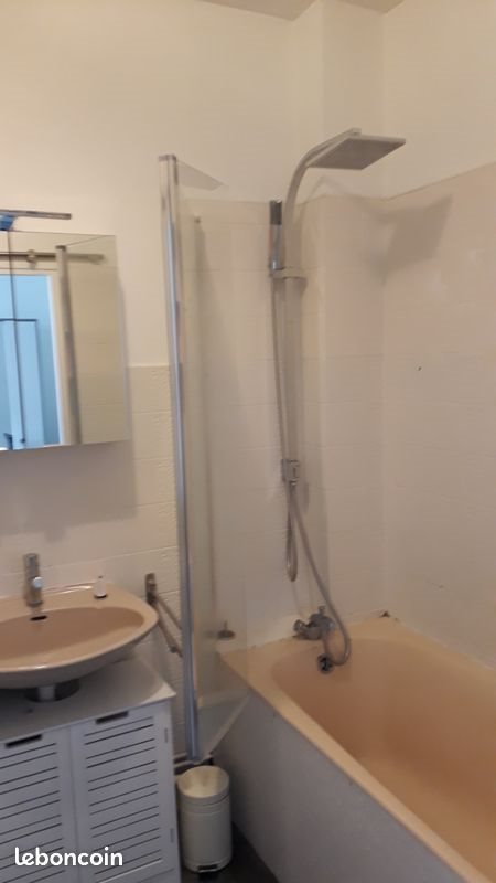 Appartement à louer, 22m², Nancy