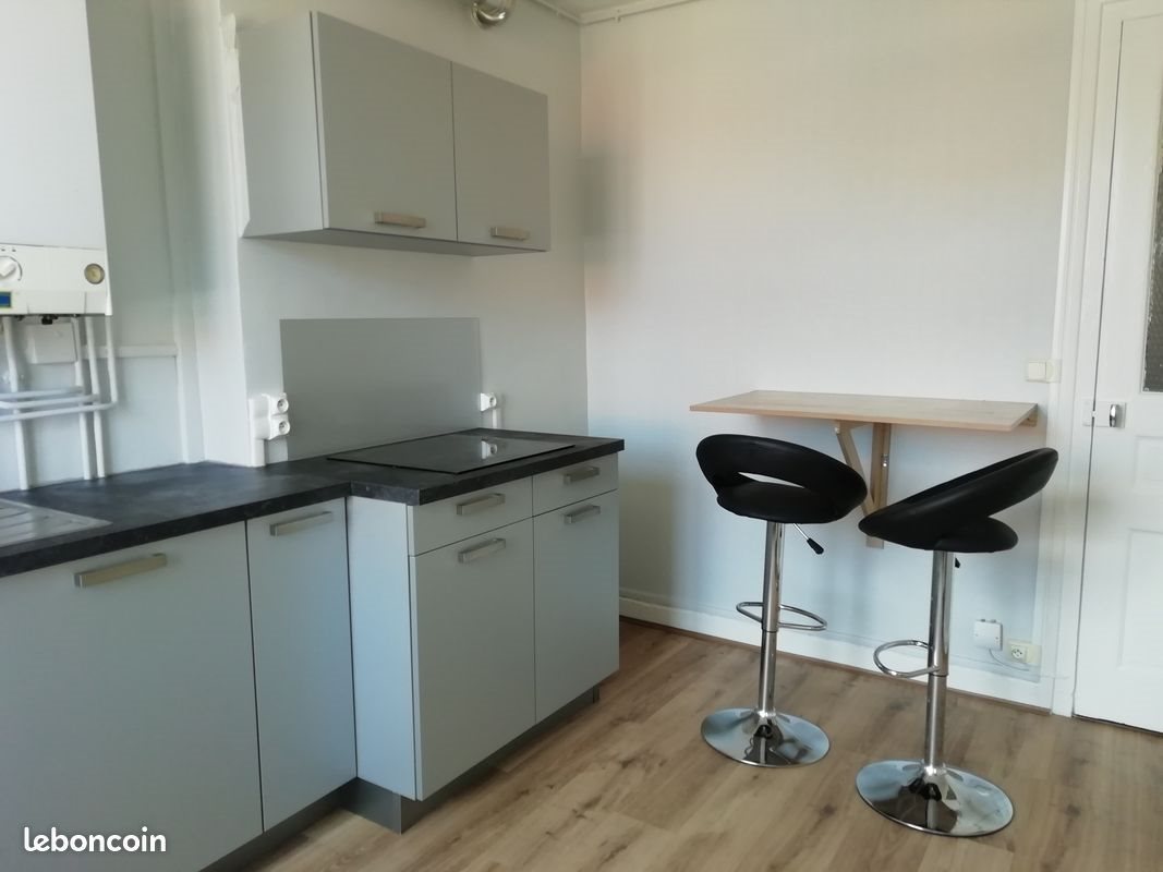 Appartement à louer, 39m², Saint-Etienne