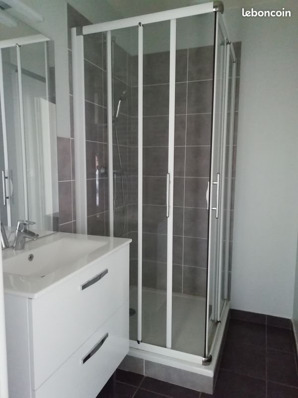 Appartement à louer, 39m², Saint-Etienne