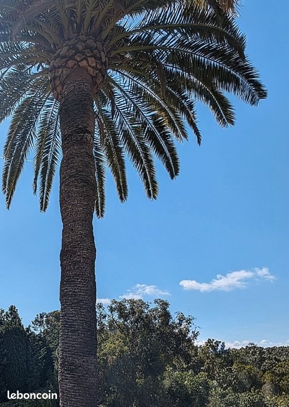 Appartement à vendre, 32m², Cannes
