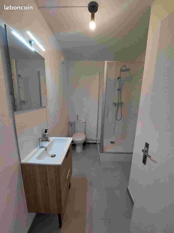 Appartement à louer, 38m², Villeurbanne
