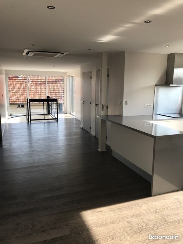 Appartement à louer, 75m², Hoerdt