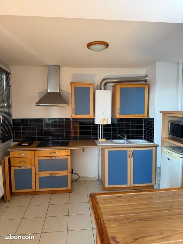 Appartement à louer, 39m², Villeurbanne