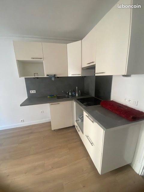Appartement à louer, 231m², Vincennes