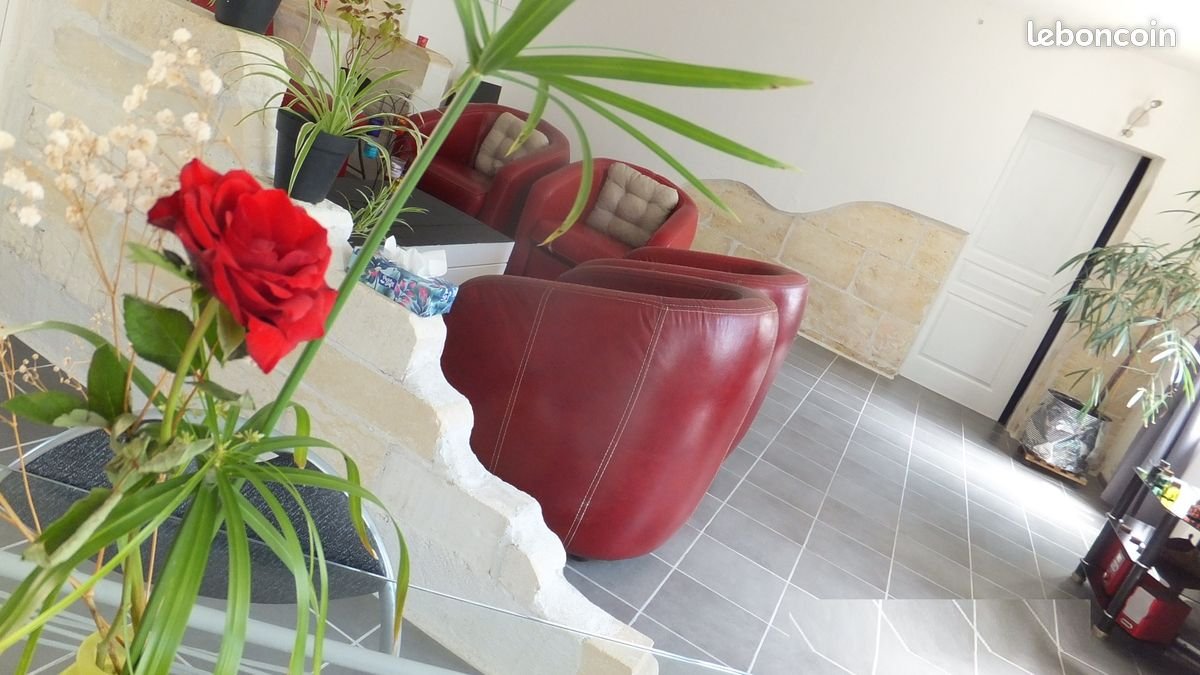 Maison à vendre, 200m², Saint-André-de-Cubzac