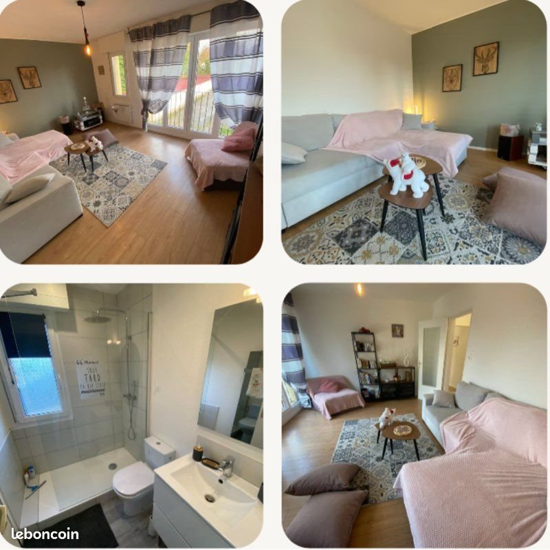 Appartement à louer, 54m², Colmar