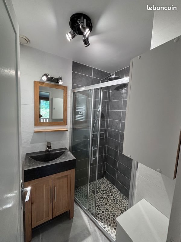 Appartement à louer, 38m², Taninges (Praz de Lys - Sommand)