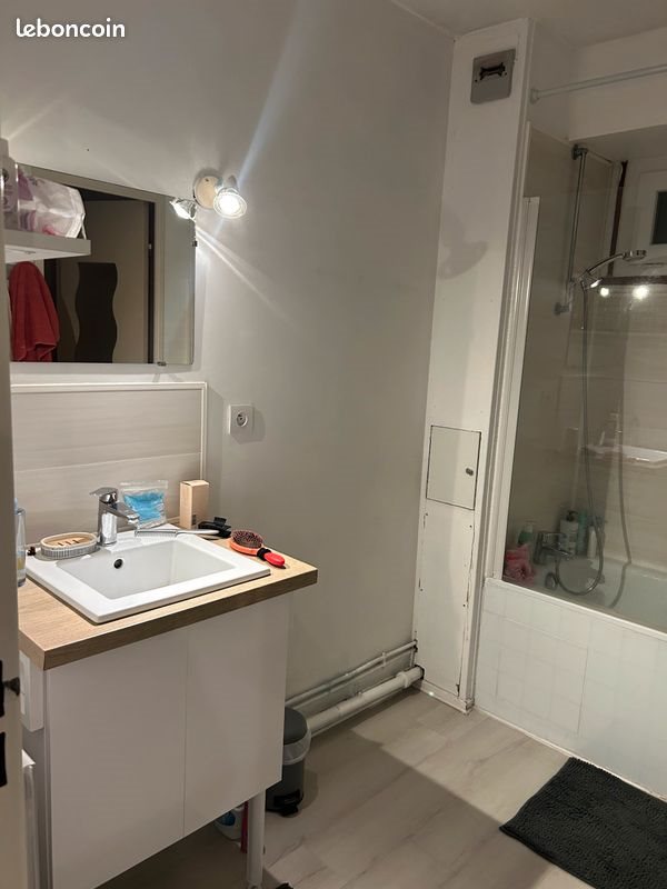Appartement à louer, 38m², Angers