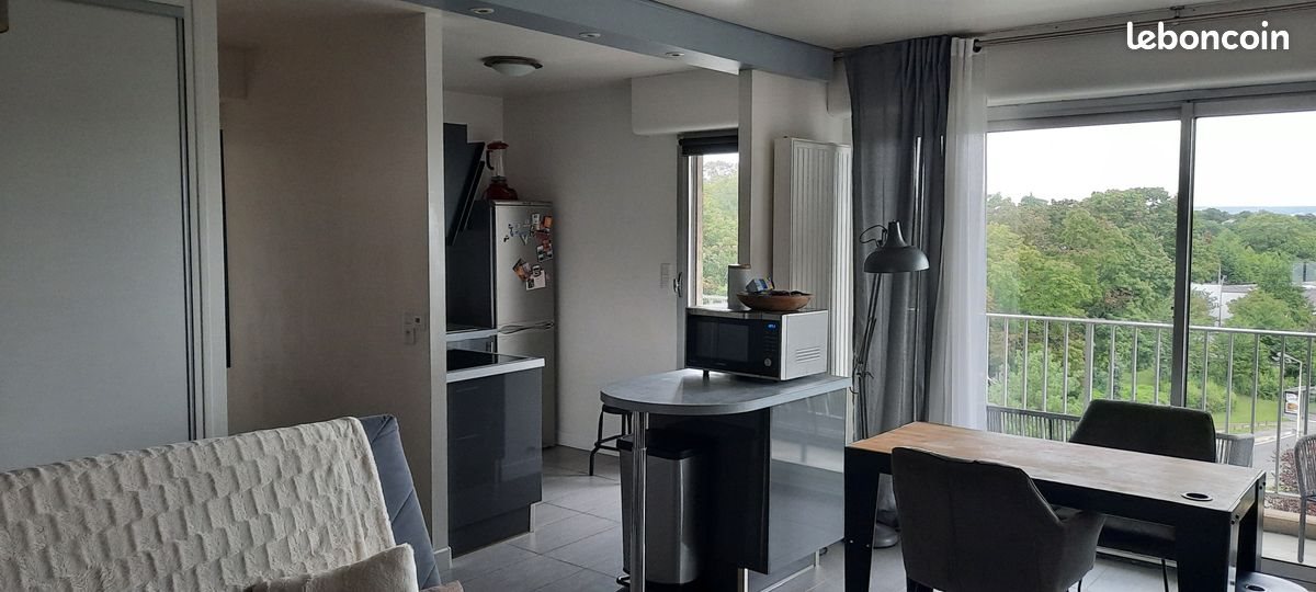 Appartement à louer, 46m², Reims