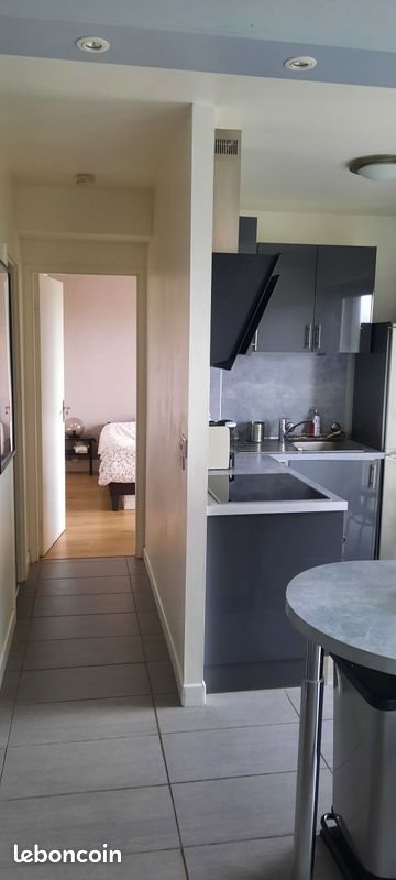 Appartement à louer, 46m², Reims