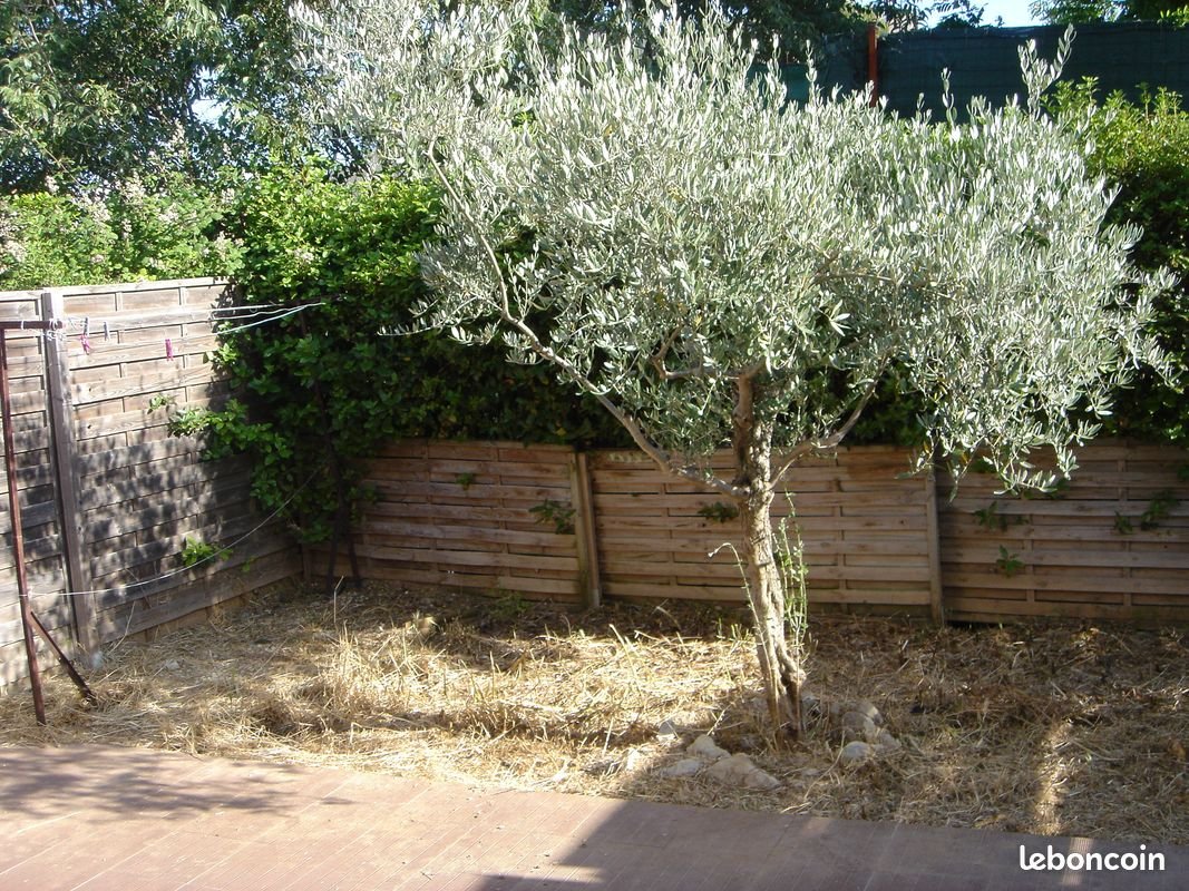 Maison à louer, 75m², Nîmes
