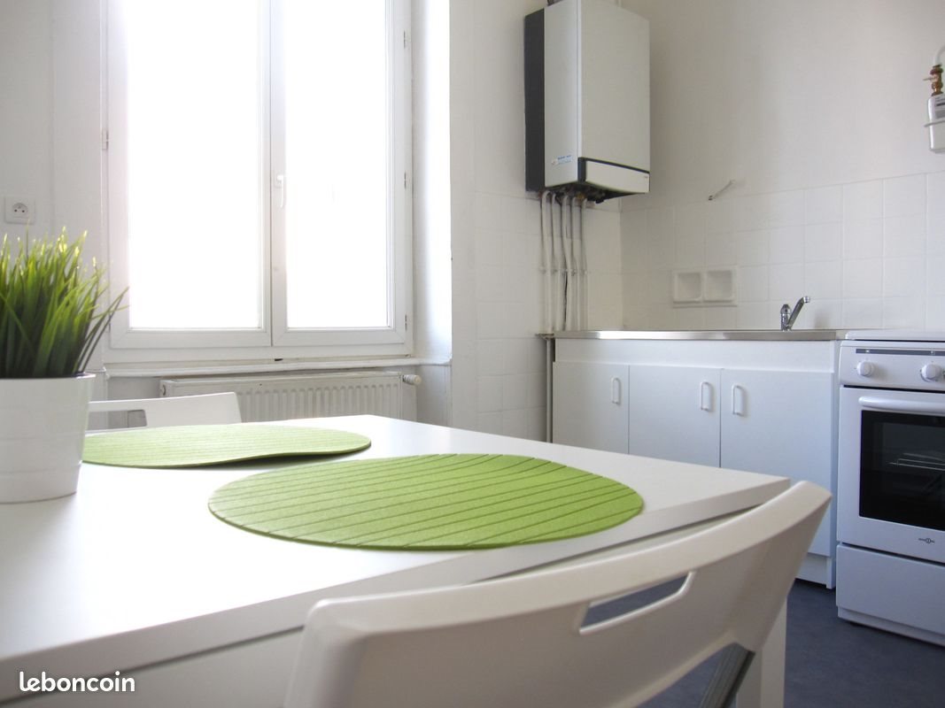 Appartement à louer, 31m², Saint-Étienne