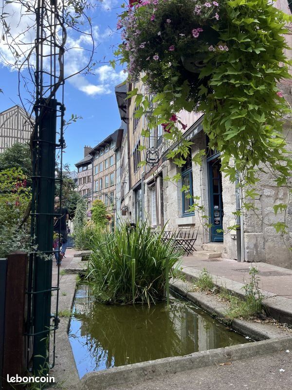 Appartement à louer, 21m², Rouen