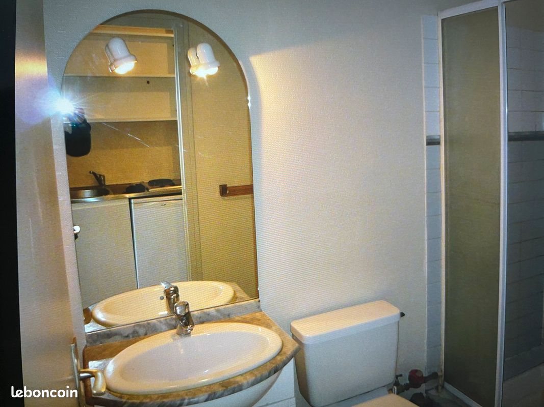Appartement à louer, 19m², Sainte-Foy-lès-Lyon
