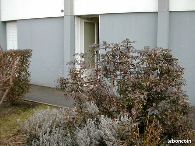 Appartement à louer, 21m², Clermont-Ferrand
