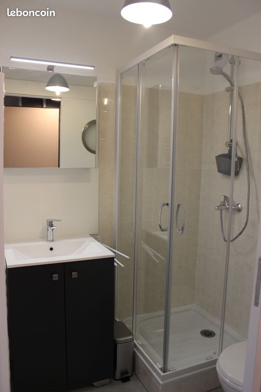 Appartement à louer, 18m², Angers