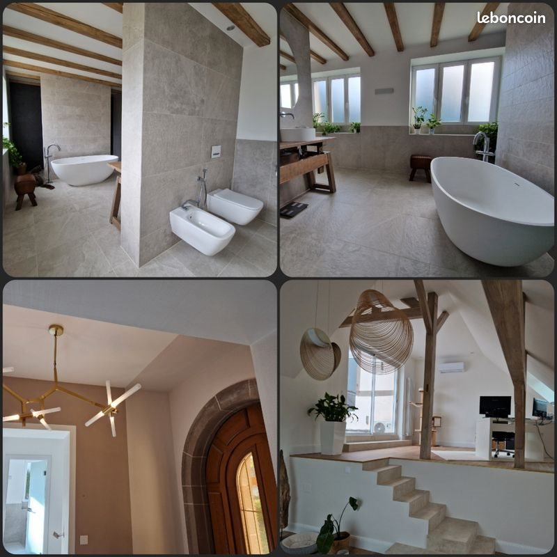 Maison à vendre, 300m², Friesenheim