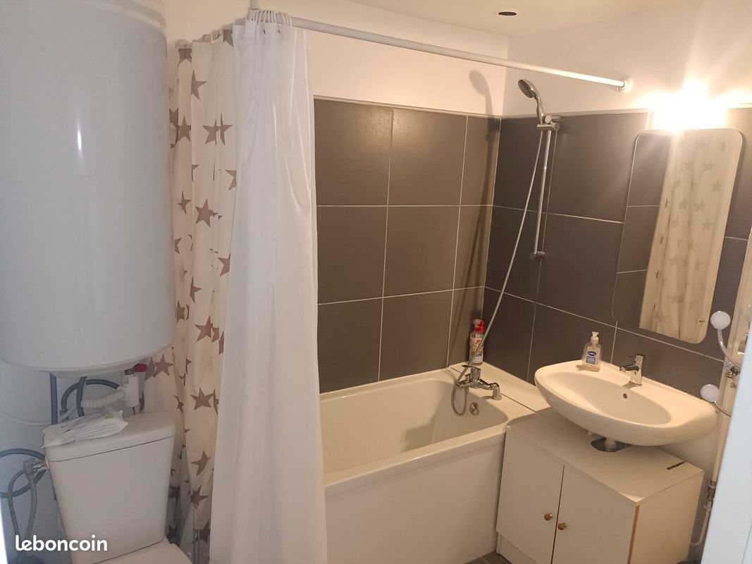 Appartement à louer, 49m², Luzinay