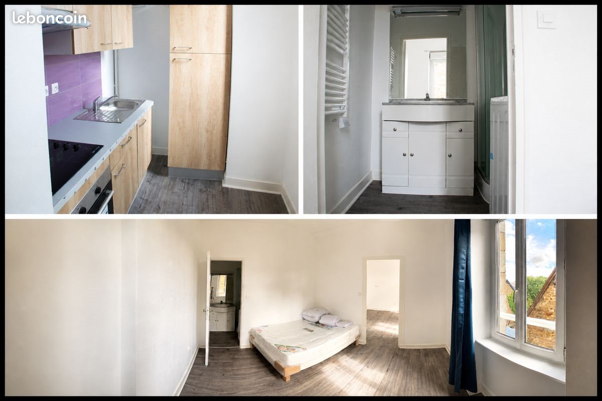 Appartement à louer, 39m², Mayenne