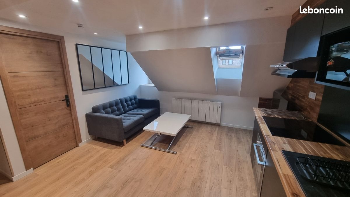 Appartement à louer, 45m², Le Mans