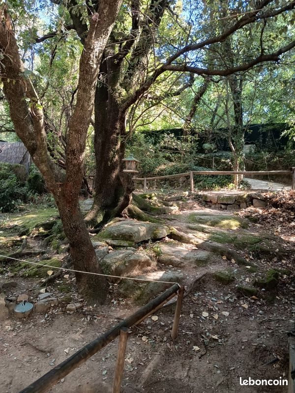 Maison à louer, 50m², Dions