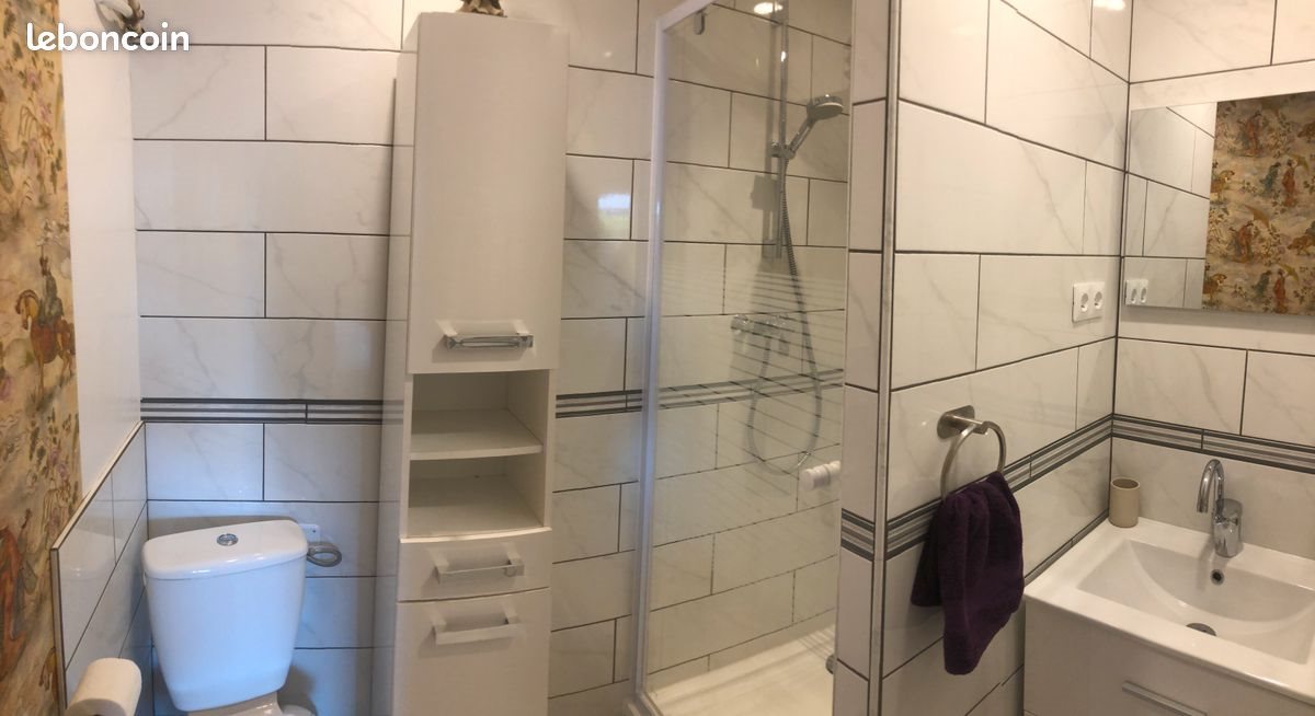Appartement à louer, 38m², Cusset