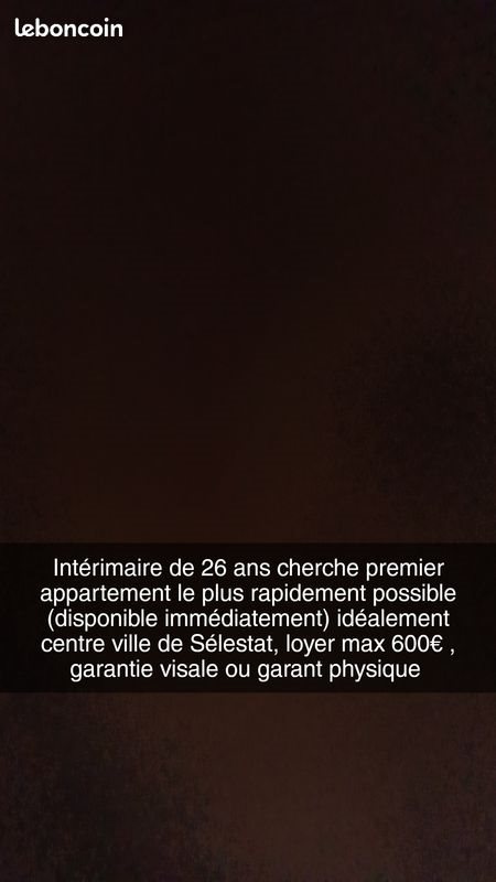 Appartement à louer, 30m², Sélestat