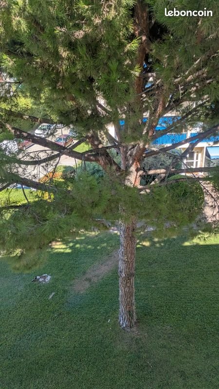 Appartement à louer, 115m², Nice