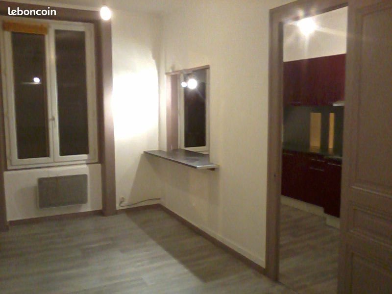 Appartement à louer, 28m², Saint-Étienne