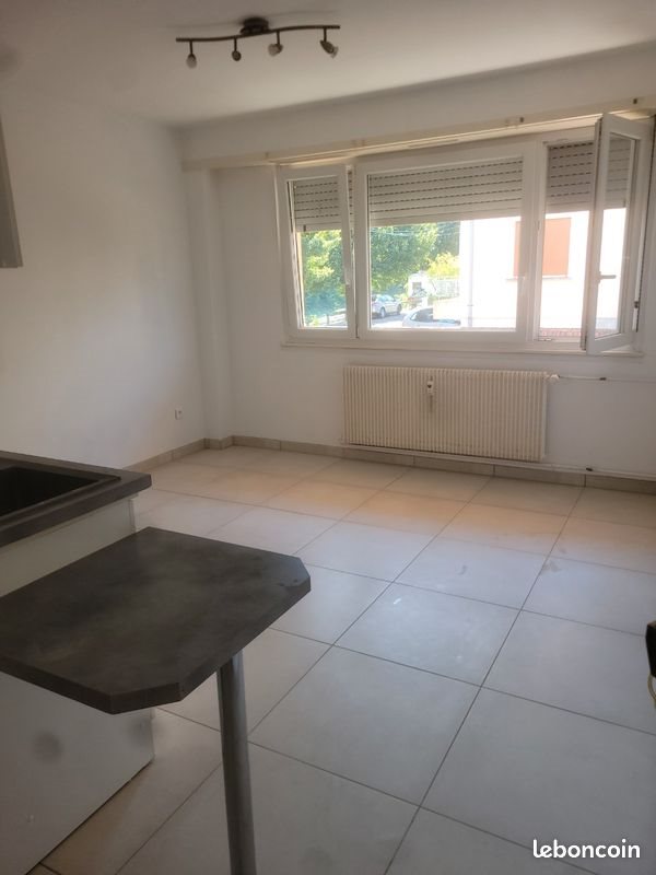 Appartement à louer, 21m², Haguenau